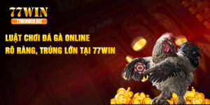 Luật Đá Gà Online - Rõ Ràng, Trúng Lớn Tại 77Win