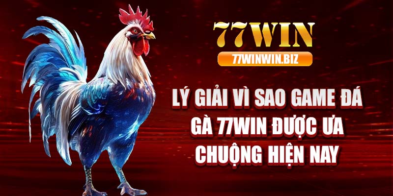 Lý giải vì sao game đá gà 77win được ưa chuộng hiện nay 