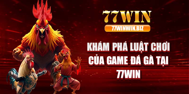 Khám phá luật chơi của game đá gà tại 77win